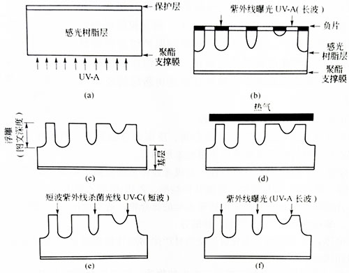 固体感光树脂柔性版的制作工艺